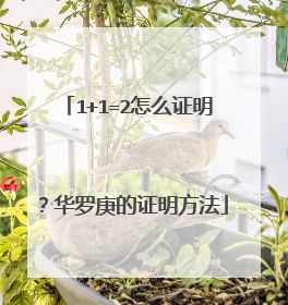 1+1=2怎么证明？华罗庚的证明方法