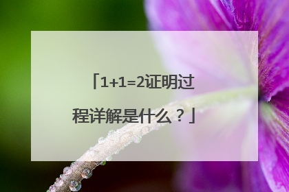 1+1=2证明过程详解是什么?