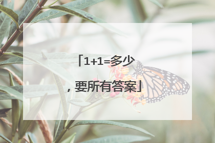 1+1=多少,要所有答案