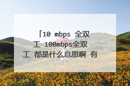 10 mbps 全双工 100mbps全双工 都是什么意思啊 有什么区别能加快网速吗