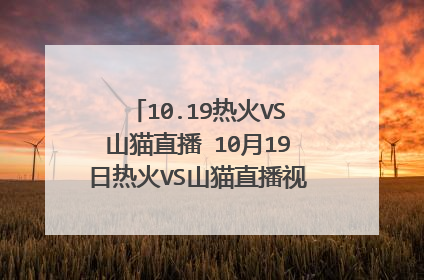 10.19热火VS山猫直播 10月19日热火VS山猫直播视频录像高清下载观看