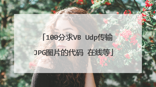100分求VB Udp传输JPG图片的代码 在线等
