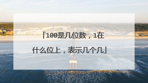 100是几位数，1在什么位上，表示几个几