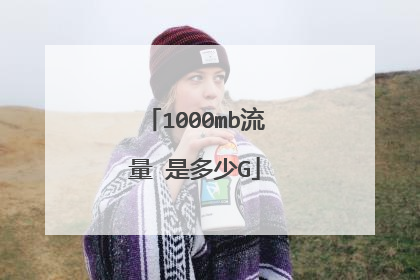 1000mb流量 是多少G