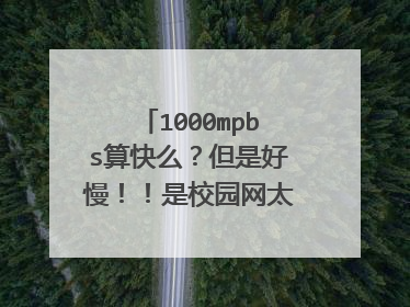 1000mpbs算快么?但是好慢!!是校园网太慢还是网线还是电脑的问题?