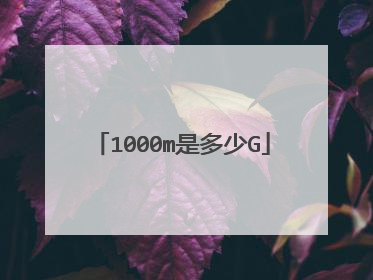 1000m是多少G