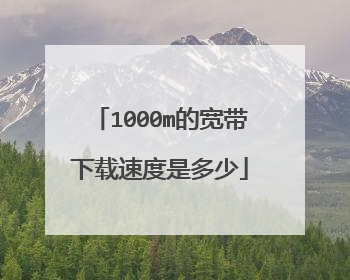 1000m的宽带下载速度是多少