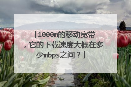 1000m的移动宽带，它的下载速度大概在多少mbps之间？