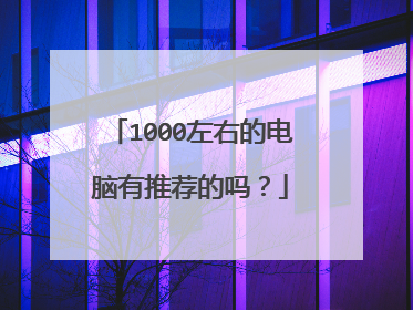 1000左右的电脑有推荐的吗？
