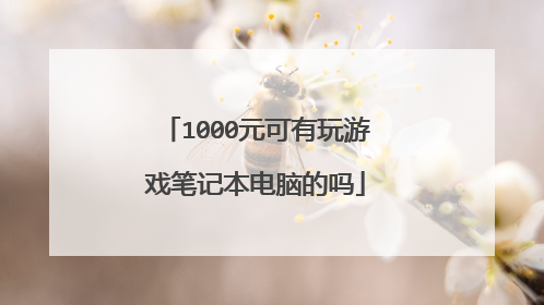 1000元可有玩游戏笔记本电脑的吗