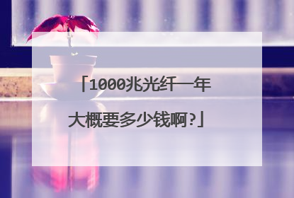 1000兆光纤一年大概要多少钱啊?