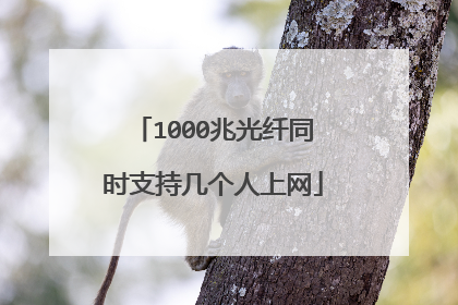 1000兆光纤同时支持几个人上网