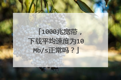 1000兆宽带，下载平均速度为10Mb/s正常吗？