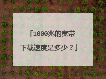 1000兆的宽带下载速度是多少？