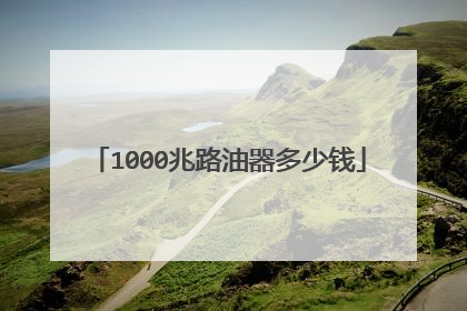 1000兆路油器多少钱