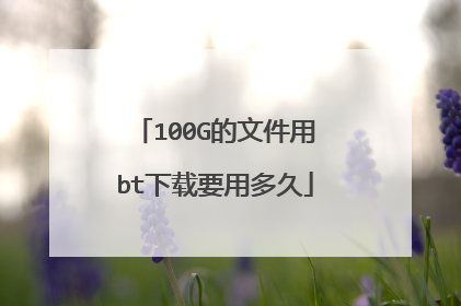 100G的文件用bt下载要用多久