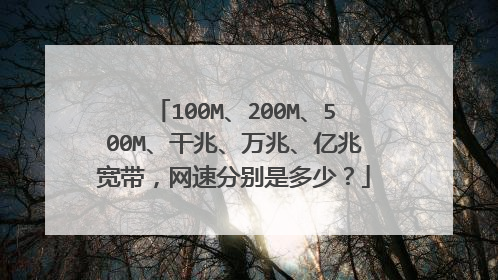 100M、200M、500M、干兆、万兆、亿兆宽带，网速分别是多少？