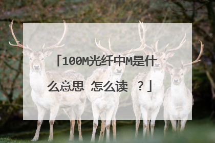 100M光纤中M是什么意思 怎么读 ?