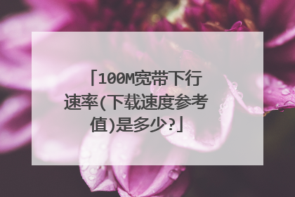 100M宽带下行速率(下载速度参考值)是多少?