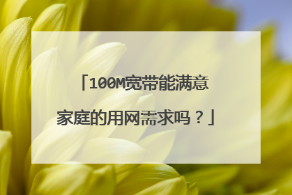 100M宽带能满意家庭的用网需求吗？