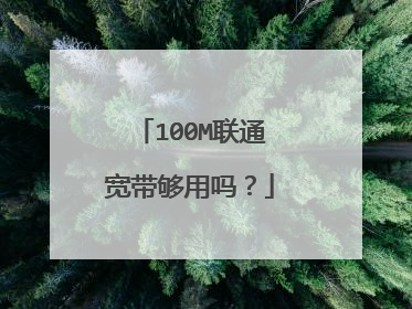100M联通宽带够用吗？