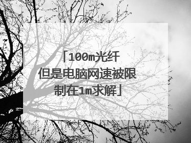 100m光纤 但是电脑网速被限制在1m求解