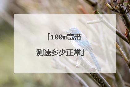 100m宽带测速多少正常