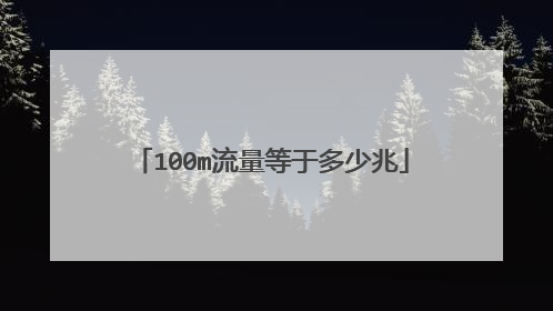 100m流量等于多少兆