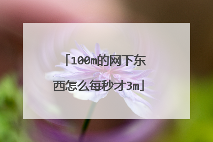 100m的网下东西怎么每秒才3m
