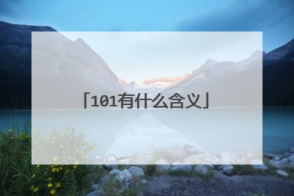 101有什么含义