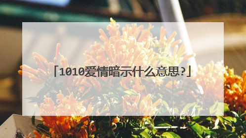 1010爱情暗示什么意思?