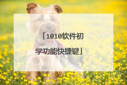 1010软件初学功能快捷键