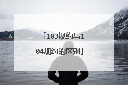 103规约与104规约的区别