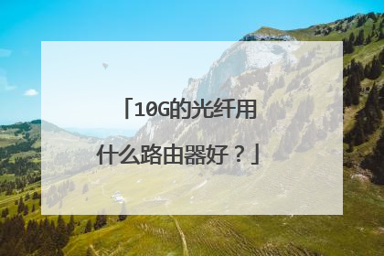10G的光纤用什么路由器好？