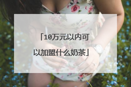 10万元以内可以加盟什么奶茶