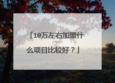 10万左右加盟什么项目比较好?