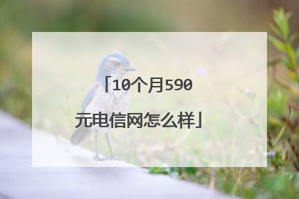 10个月590元电信网怎么样