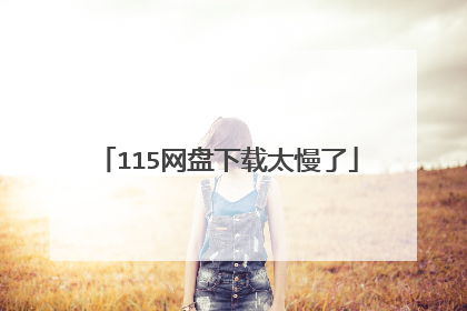 115网盘下载太慢了