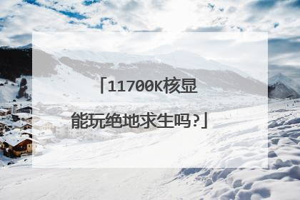 11700K核显能玩绝地求生吗?