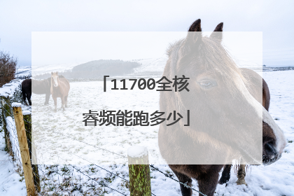 11700全核睿频能跑多少