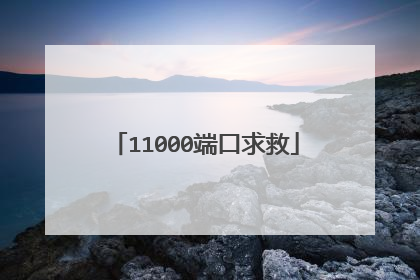 11000端口求救
