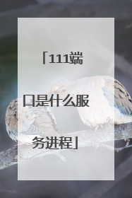 111端口是什么服务进程