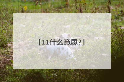 11什么意思?