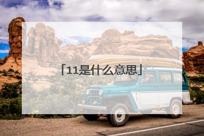 11是什么意思