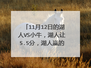11月12日的湖人VS小牛，湖人让5.5分，湖人赢的机率大吗？