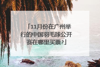 11月份在广州举行的中国羽毛球公开赛在哪里买票?