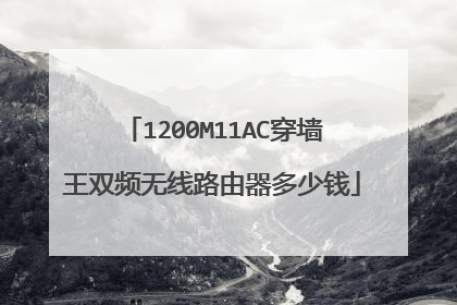 1200M11AC穿墙王双频无线路由器多少钱