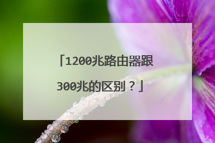 1200兆路由器跟300兆的区别？