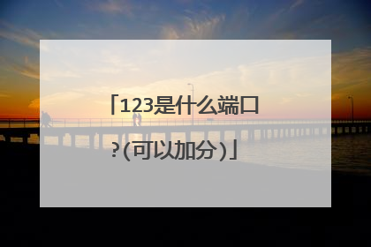 123是什么端口?(可以加分)