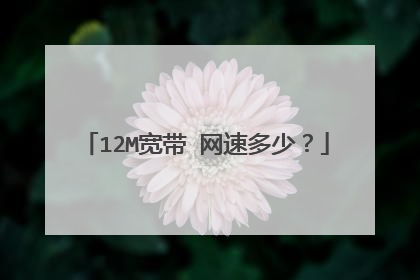 12M宽带 网速多少？